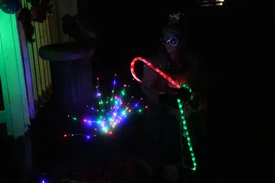 DSC_6767 (Large).JPG